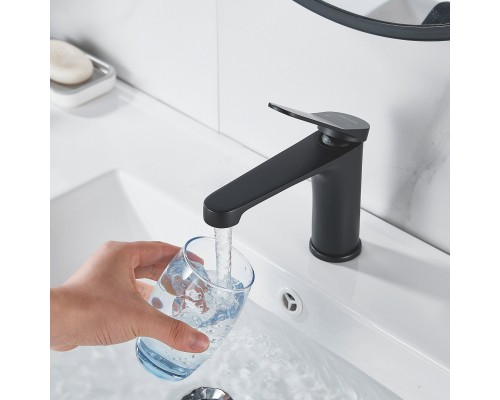 Смеситель для раковины Shevanik S6201H, черный