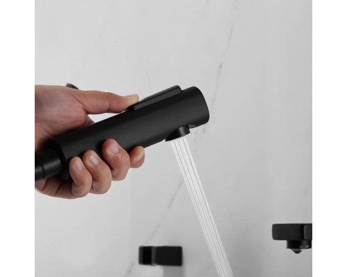 Смеситель для раковины с гигиеническим душем Shevanik S8271H, черный