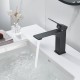 Смеситель для раковины Shevanik S6101H, черный