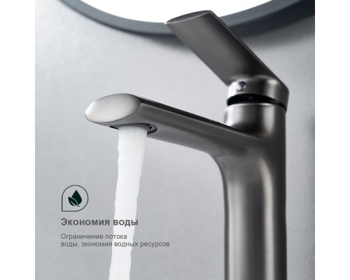 Смеситель для раковины Splenka S50.10.09, графит