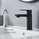 Смеситель для раковины Splenka S05.10.06, черный