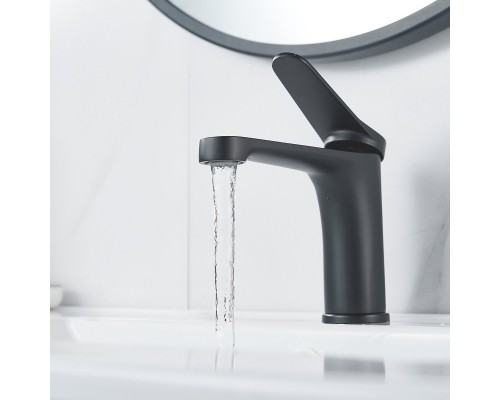 Смеситель для раковины Shevanik S6201H, черный
