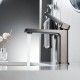 Смеситель для раковины Shevanik S9901T, оружейная сталь