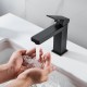 Смеситель для раковины Shevanik S9601H, черный