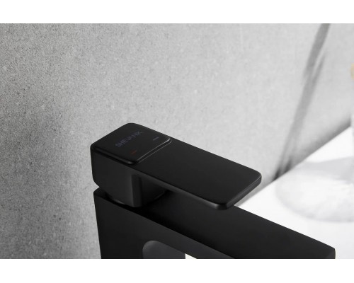 Смеситель для раковины Shevanik S9701H, черный