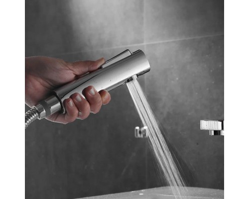 Смеситель для раковины с гигиеническим душем Shevanik S8271, хром