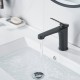 Смеситель для раковины Shevanik S6201H, черный