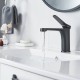 Смеситель для раковины Shevanik S6201H, черный