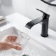 Смеситель для раковины Shevanik S4101H, черный