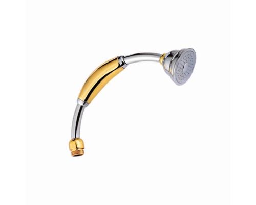Лейка для душа D-Lin D61020, хром
