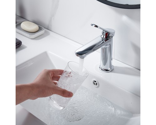 Смеситель для раковины Shevanik S4301, хром