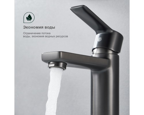 Смеситель для раковины Splenka S06.10.09, графит