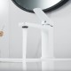 Смеситель для раковины Shevanik S9901C, белый