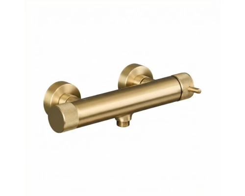 Смеситель для душа Splendy Passion, золото матовое, PA204N2K1GM