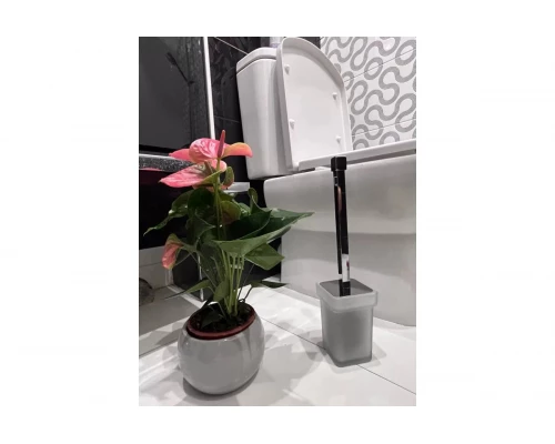 Ершик для унитаза настенный Ganzer GZ88090 стекло хром