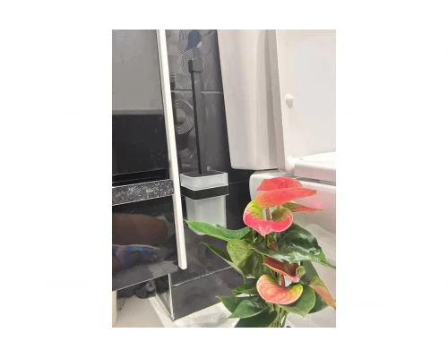 Ершик для унитаза настенный Ganzer GZ88090-C стекло, черный