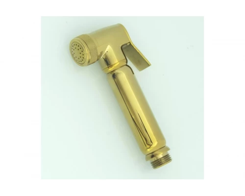 Лейка для биде Ganzer GZ2011-E золото