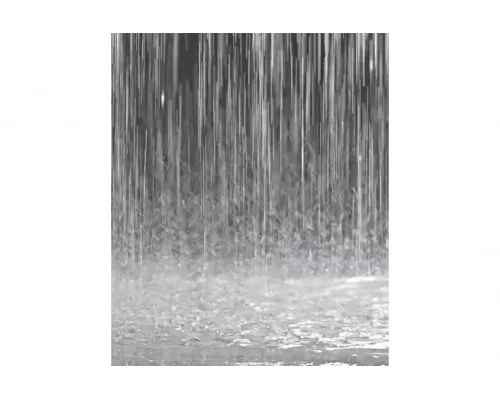 Лейка тропическая круглая 300х300 Ganzer GZ018-30