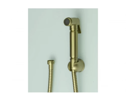 Комплект для биде (лейка, шланг, держатель) Ganzer GZ2111-S Set матовое золото