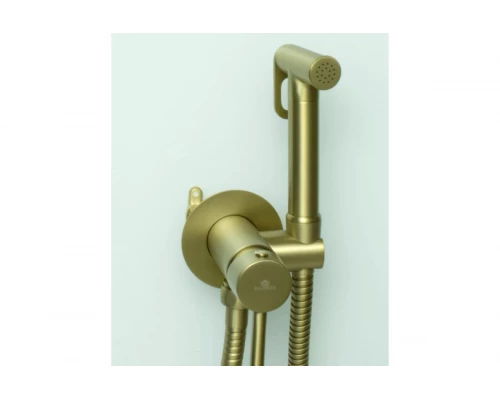 Смеситель для биде встраиваемый Ganzer GZ42101-S Set матовое золото