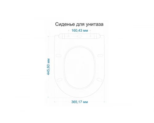 Сиденья для унитаза с микролифтом 415мм.365мм Ganzer GZ19001-C черный