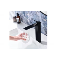 Смеситель однорычажный для раковины-чаши Ganzer GZ05112-C черный