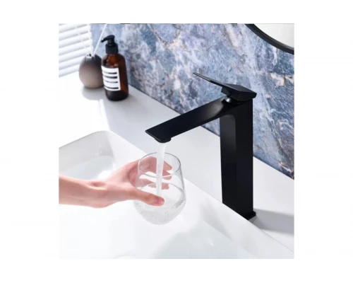 Смеситель однорычажный для раковины-чаши Ganzer GZ05112-C черный