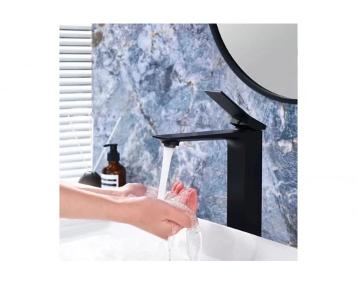 Смеситель однорычажный для раковины-чаши Ganzer GZ05112-C черный