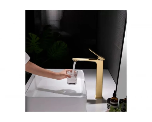 Смеситель однорычажный для раковины-чаши Ganzer GZ05112-S золото