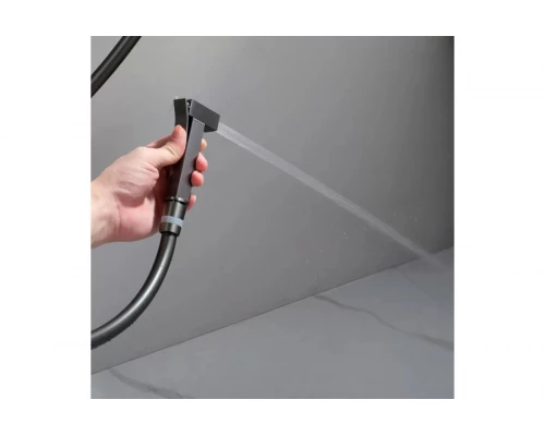 Смеситель встраиваемый с гигиеническим душем  Ganzer GZ01157-Q графит