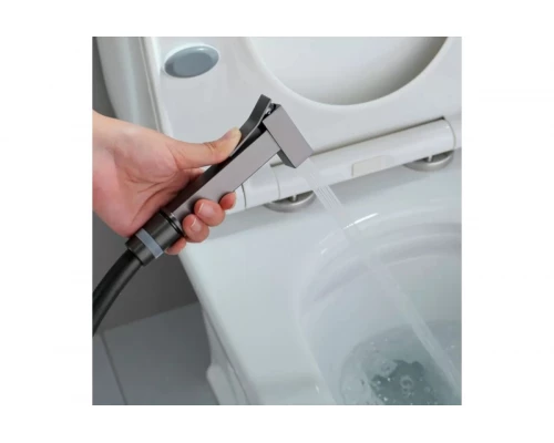 Смеситель встраиваемый с гигиеническим душем  Ganzer GZ01157-Q графит