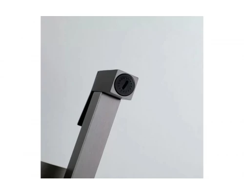 Смеситель встраиваемый с гигиеническим душем  Ganzer GZ01157-Q графит