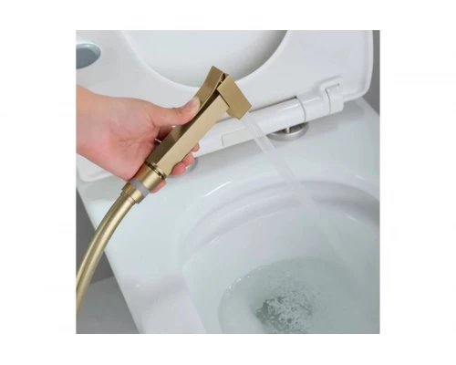 Смеситель встраиваемый с гигиеническим душем  Ganzer  GZ01157-S матовое золото