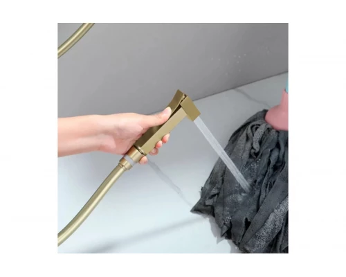 Смеситель встраиваемый с гигиеническим душем  Ganzer  GZ01157-S матовое золото