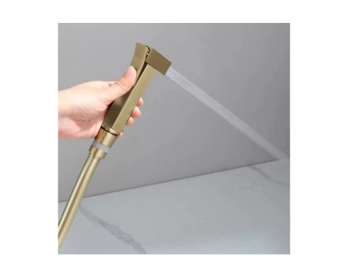 Смеситель встраиваемый с гигиеническим душем  Ganzer  GZ01157-S матовое золото