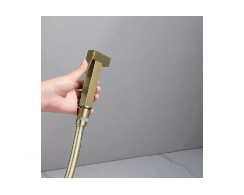 Смеситель встраиваемый с гигиеническим душем  Ganzer  GZ01157-S матовое золото