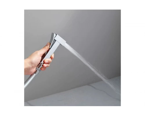 Смеситель встраиваемый с гигиенический душем  Ganzer  GZ01157 хром