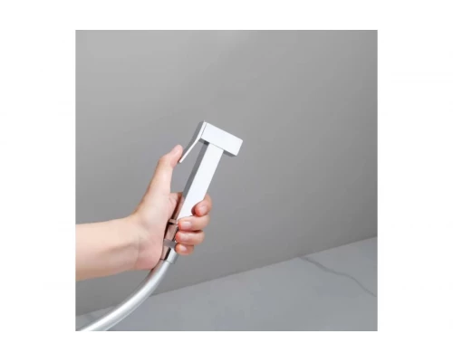 Смеситель встраиваемый с гигиенический душем  Ganzer  GZ01157 хром