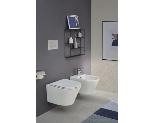 Биде Jacob Delafon Rodin+, подвесное EMJ0002-00