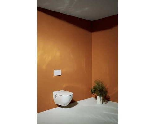 Подвесной унитаз-биде Laufen Cleanet Navia 8.2060.1.400.000.1 безободковый, крышка микролифт