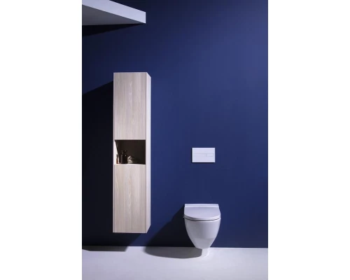 Подвесной унитаз-биде Laufen Cleanet Navia 8.2060.1.400.000.1 безободковый, крышка микролифт