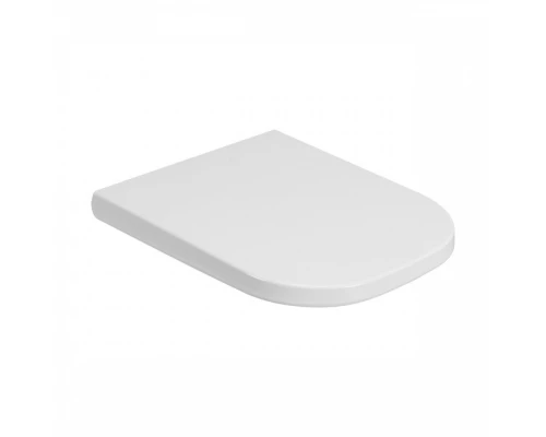 GAP сидение для чаши Roca The Gap Soft Close, supralit A80173200B ROCA 