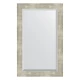 Зеркало настенное с фацетом EVOFORM в багетной раме алюминий, 51х81 см, BY 1139