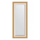 Зеркало настенное с фацетом EVOFORM в багетной раме травленое золото, 56х136 см, BY 1161