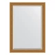 Зеркало настенное с фацетом EVOFORM в багетной раме состаренное золото, с плетением, 73х103 см, BY 3457