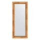 Зеркало настенное с фацетом EVOFORM в багетной раме римское золото, 61х146 см, BY 3542