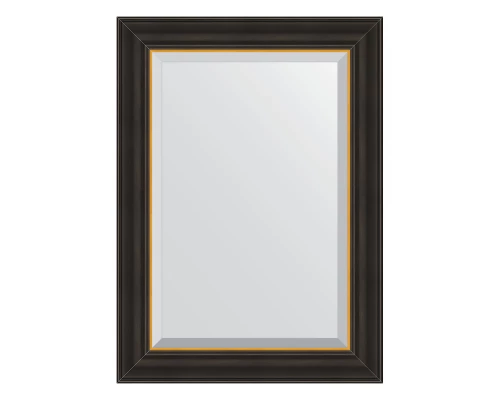 Зеркало настенное с фацетом EVOFORM в багетной раме чёрное дерево с золотом, 54х74 см, BY 3923