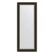 Зеркало настенное с фацетом EVOFORM в багетной раме чёрное дерево с золотом, 54х134 см, BY 3928