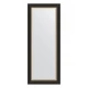 Зеркало настенное с фацетом EVOFORM в багетной раме чёрное дерево с золотом, 59х144 см, BY 3929