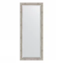 Зеркало напольное с фацетом EVOFORM в багетной раме римское серебро, 81х201 см, BY 6118